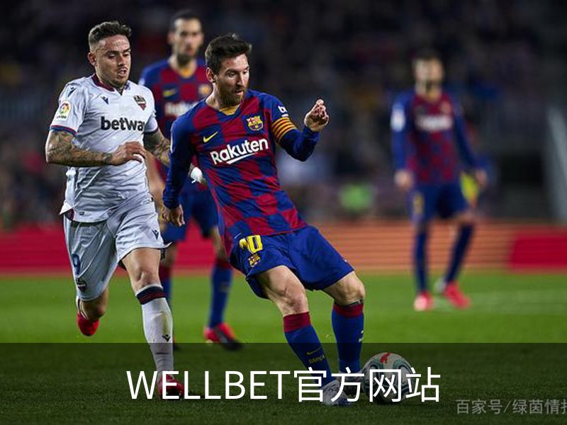 WELLBET官方网站概况